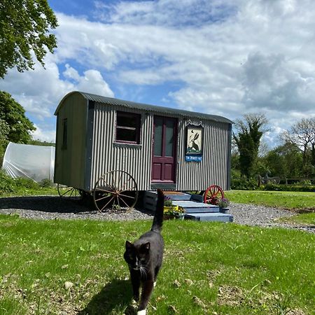 The Hares Hut At Carrigeen Glamping Kilkenny Eksteriør bilde