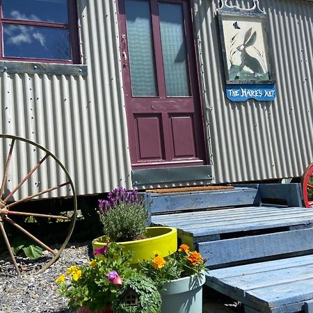 The Hares Hut At Carrigeen Glamping Kilkenny Eksteriør bilde