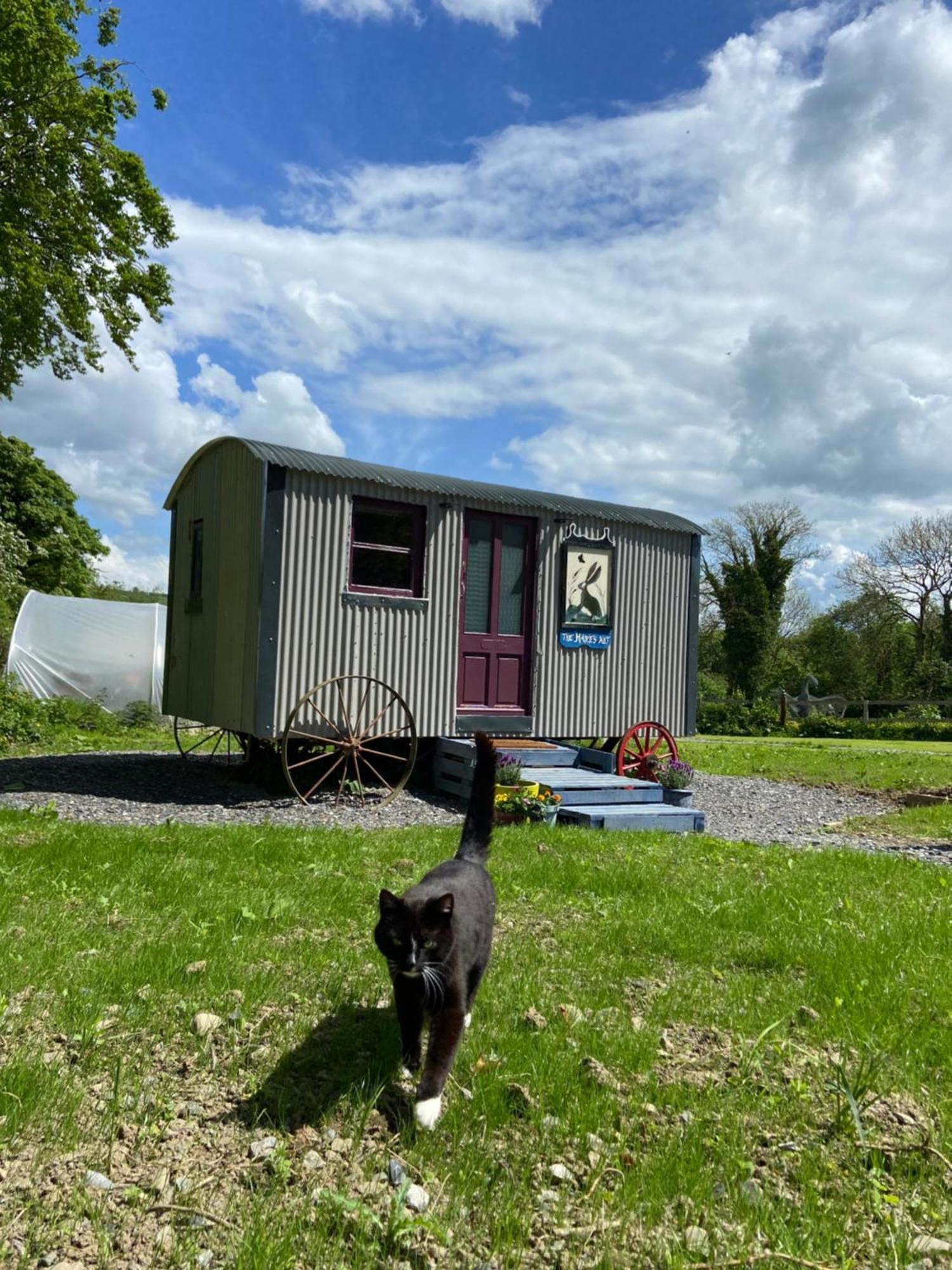 The Hares Hut At Carrigeen Glamping Kilkenny Eksteriør bilde