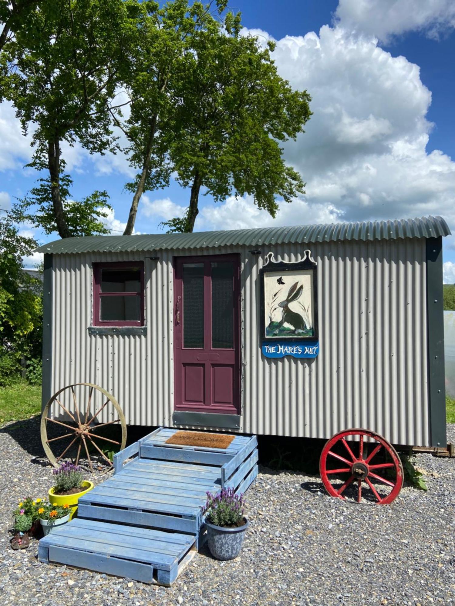 The Hares Hut At Carrigeen Glamping Kilkenny Eksteriør bilde